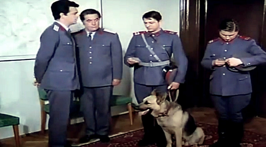 Plutonierul Capsuna si cainele Costel, admirati de politisti. MAI difuzeaza seria Brigada Diverse