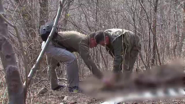 Cranii si resturi de animale, descoperite intr-o localitate din Caras-Severin. A fost deschis dosar penal pentru braconaj