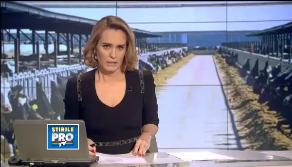 Disperati, fermierii cer ajutorul Guvernului. Vanzarile de lapte au scazut dramatic in ultimele zile