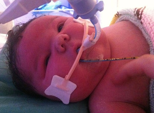 Micul gigant al Angliei. Copilul care a cantarit 7 kilograme la nastere i-a impresionat pe medici