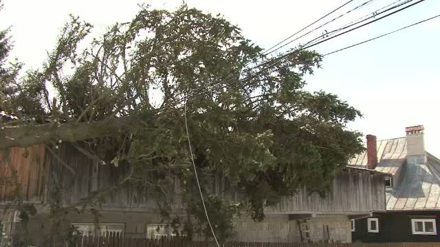 Vantul puternic a paralizat nord-estul tarii, iar meteorologii vin cu noi vesti proaste