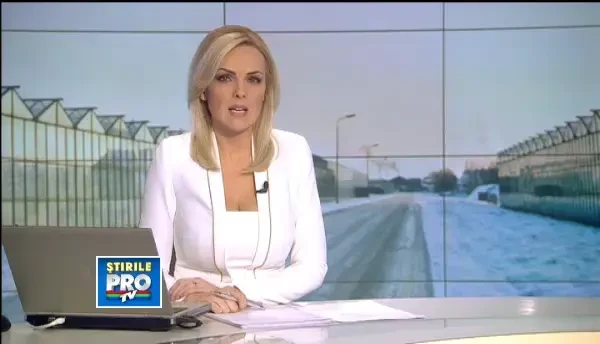 Agricultorii carora vantul le-a distrus solariile avertizeaza ca vor creste pretul legumelor