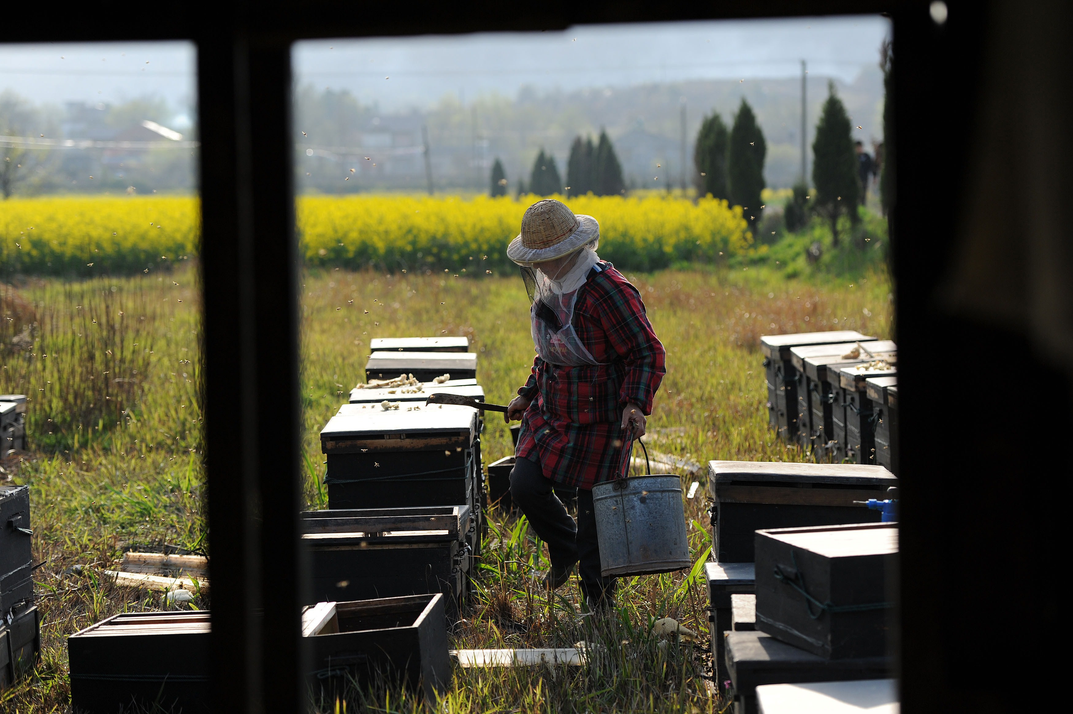 Dezvaluirea unui economist de top din China: cum au strans autoritatile 5.000 de miliarde de dolari