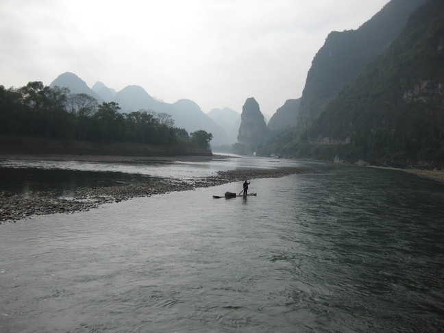 O mie de rate moarte au fost descoperite intr-un rau din China