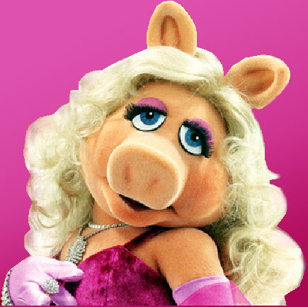 In urma cu un an era poreclita Miss Piggy, acum intoarce toate privirile. "Imi spuneau si Porc Gras"