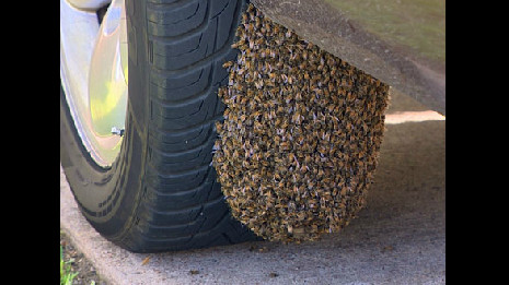 O femeie a fost tinuta ostatica in propria casa. Ce descoperire horror a facut