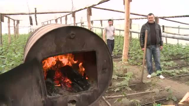 Iarna din martie va creste pretul legumelor. Oamenii dorm in solarii ca sa puna lemne pe foc in soba