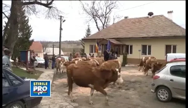 Scandal urias pentru pamant intr-o comuna din judetul Sibiu