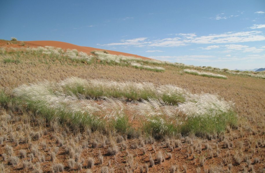 cercuri in lan, Namibia 2