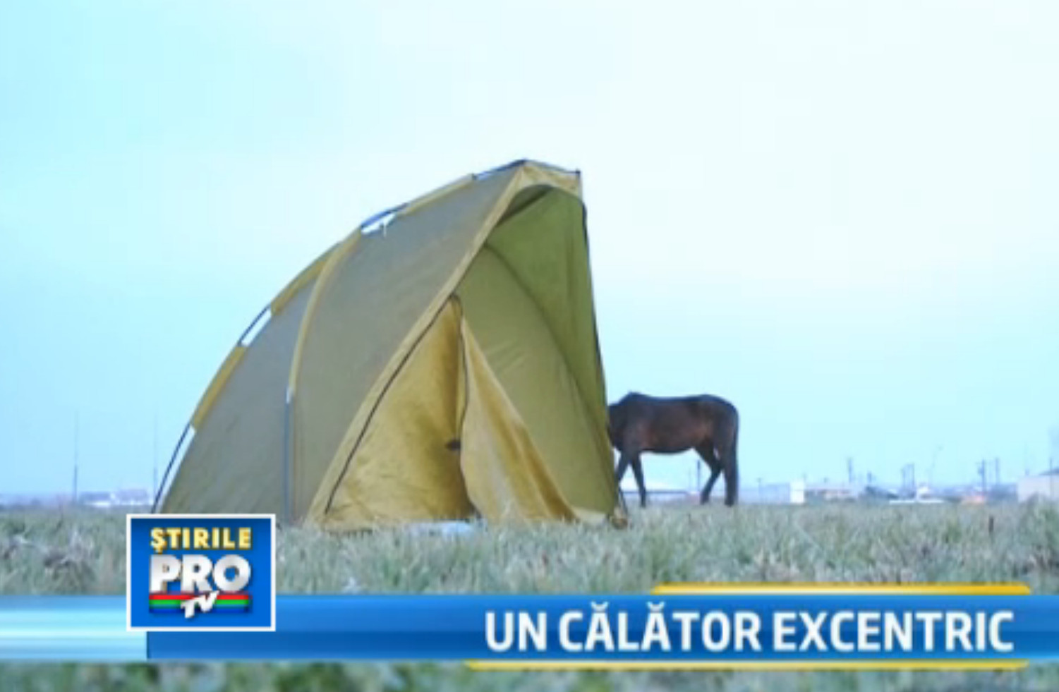 Un bulgar si calul sau au poposit in sensul giratoriu din Calea Aradului. Afla intreaga poveste
