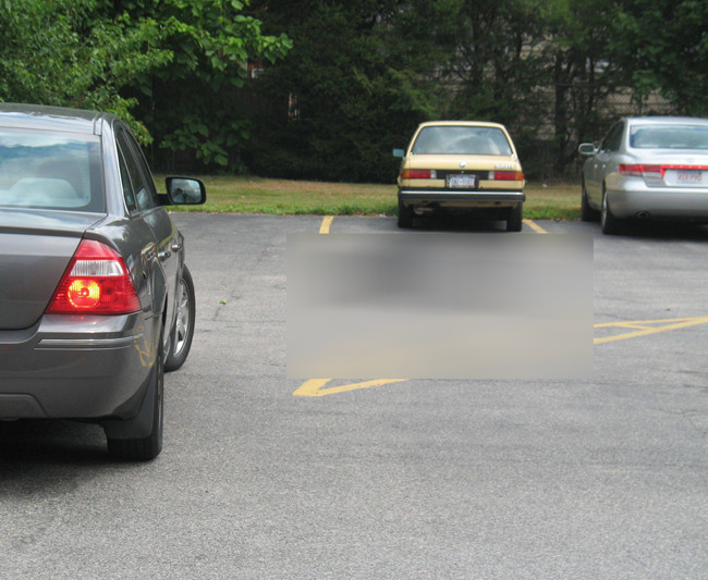 Oamenii au inlemnit cand au vazut ce era in parcarea de la munca."O pasare de prada l-a scapat aici"