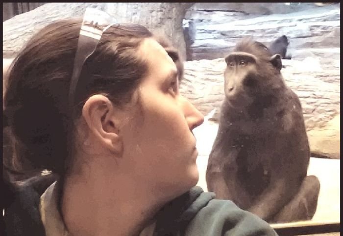 poza zoo 2