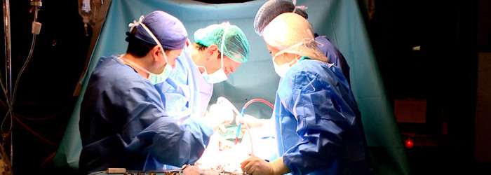 Aproape 30% dintre bolnavii de inima mor in asteptarea transplantului. Cum a fost inchisa singura unitate din tara profilata pe asemenea interventii