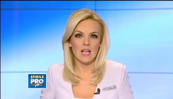 Cursuri de coafura canina. Iubitorii de animale sunt gata sa plateasca 2.400 de lei pentru lectii