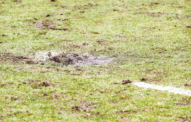 Ganea nu vrea rugby pe Cluj Arena. Reactia antrenorului, dupa U Cluj - Steaua