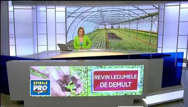 In cautarea gustului copilariei, cumparatorii ii obliga pe producatori sa cultive legume romanesti