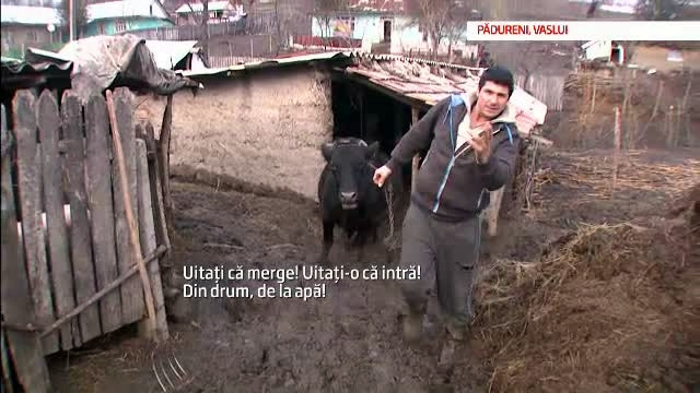 TOP "10 minuni" ale satului romanesc: parcul din mlastina, stadionul in panta sau piscina inundata