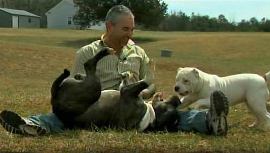 Un barbat din SUA a ajuns in atentia autoritatilor dupa ce si-a tatuat ambii caini. VIDEO