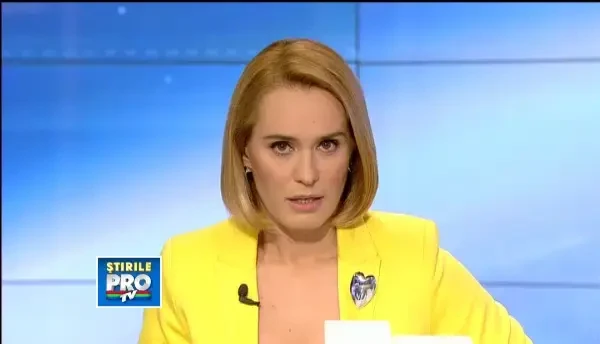 DIICOT: Doi avocati de la Baroul Bucuresti, urmariti penal pentru favorizarea lui Sile Camataru