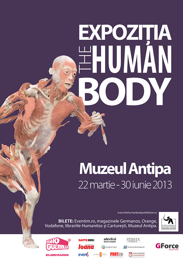 The Human Body