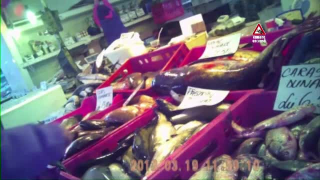 Lectie de impotenta, cu legea in mana. Cinci institutii nu sunt in stare sa inchida "Ghetaria"