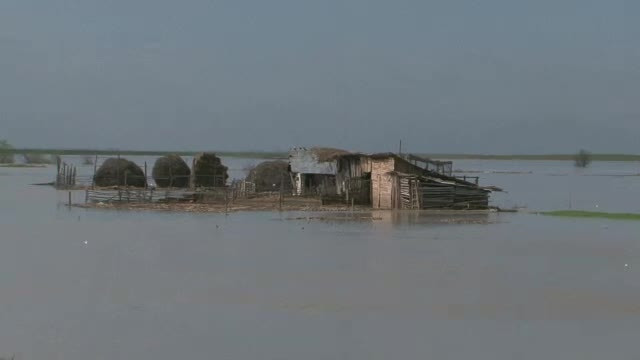 Dunarea a rupt mai multe diguri in Tulcea. Zeci de familii asteapta cu spaima ce urmeaza