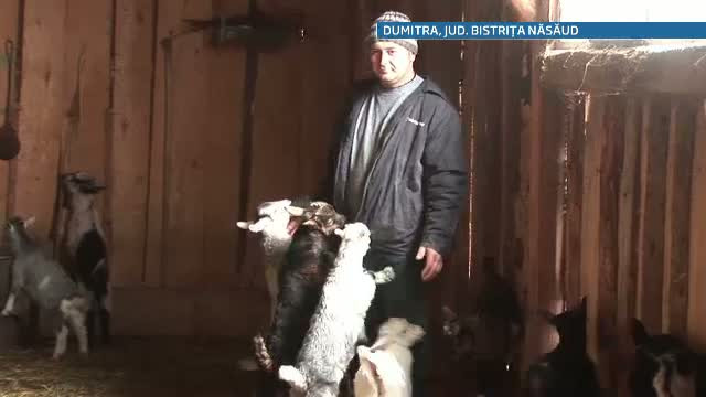 Au renuntat la slujba pentru a deveni propriii lor patroni. Povestile de succes a doi romani