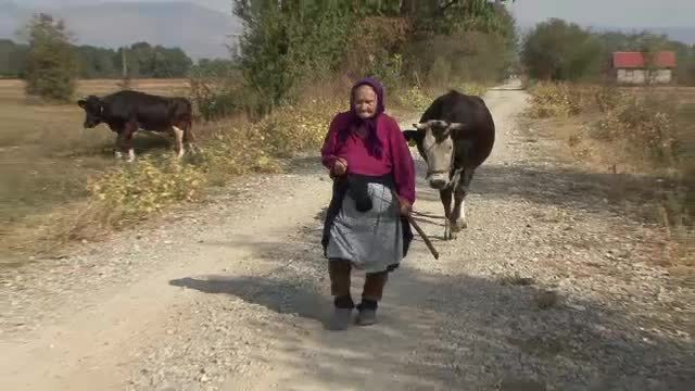 Primarie inspirata de Luvru, cu acoperis retractabil de sticla, si muzeu, intr-o comuna saraca, fara asfalt si canalizare