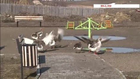 Risipa de 900 de mil. euro pentru investitii absurde.Parcuri si stranduri, in comune fara canalizare