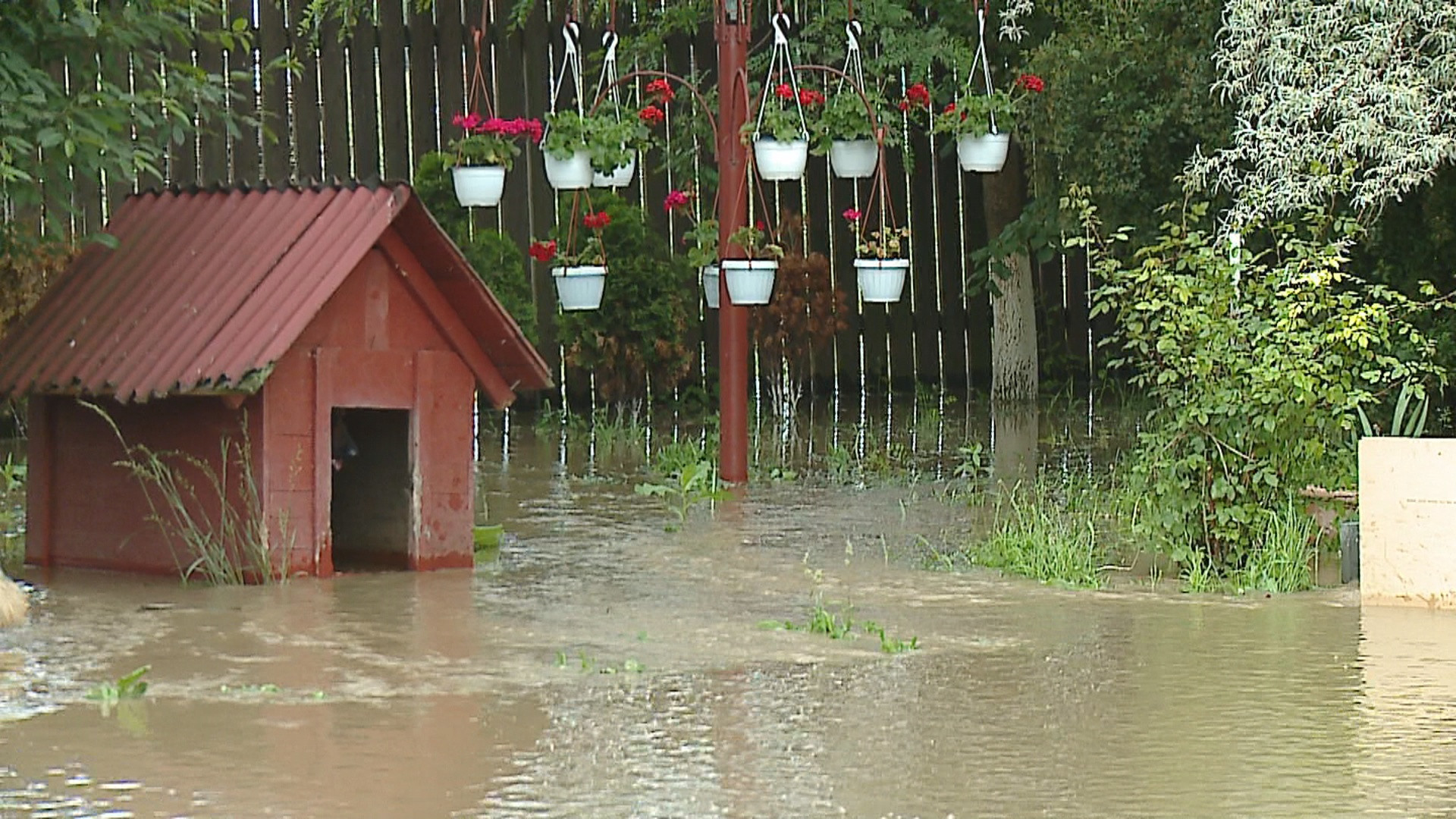 Sute de hectare de terenuri agricole din Mures au fost acoperite de apa