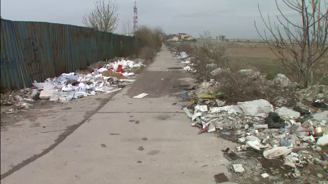 Cum a devenit Delta Vacaresti un mare tomberon. Autoritatite isi paseaza responsabilitatile