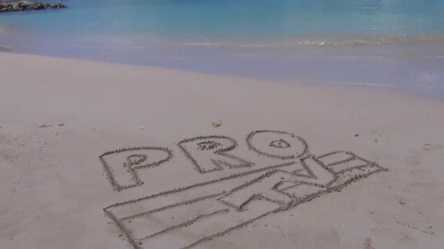 Vrei sa dai o dedicatie exotica unui prieten? Cele mai interesante oferte de pe internet