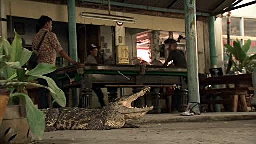 Crocodil