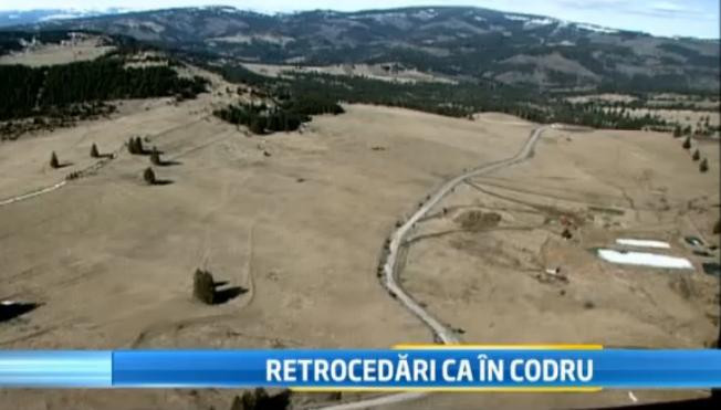 Retrocedarile scandaloase din Romania. Cum a primit un roman 63.000 hectare de padure fara acte