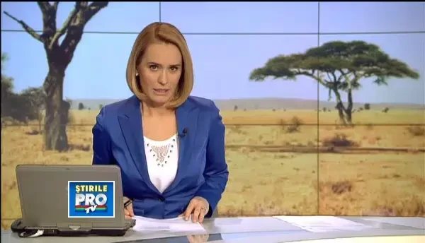 Leii si tigrii chinuiti in Gradina Zoologica din Onesti au fost dusi in rezervatia de lux din Africa