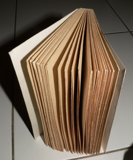 Amenda de 11.500 lire dupa ce o carte a fost returnata 79 de ani mai tarziu