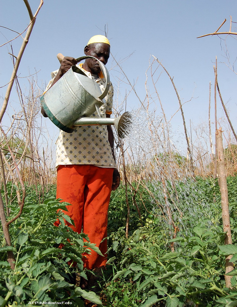 FOTO. Care sunt cele mai primitoare tari din lume, ideale pentru concediul de vara