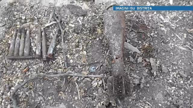Bistrita Nasaud: 24 de cartuse si o bomba din timpul razboiului, gasite in scorbura unui mar