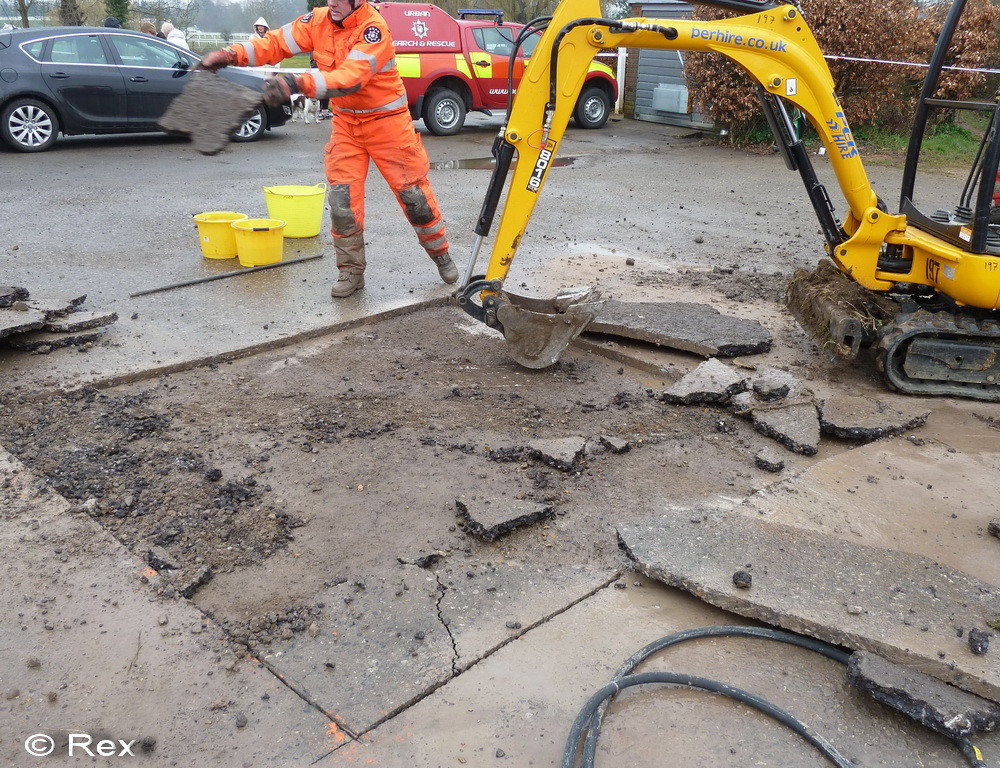 A stat ingropat de viu patru zile: povestea lui Lulu, cainele care i-a impresionat pe britanici