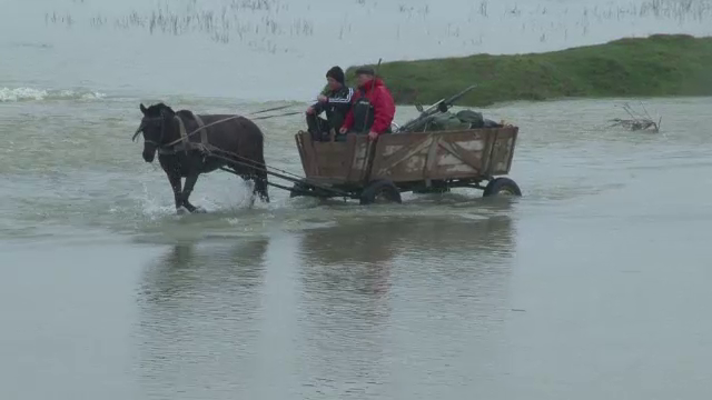 Situatia a devenit critica in Delta. Pericolul inundatiilor, dublat de pericolul poluarii chimice