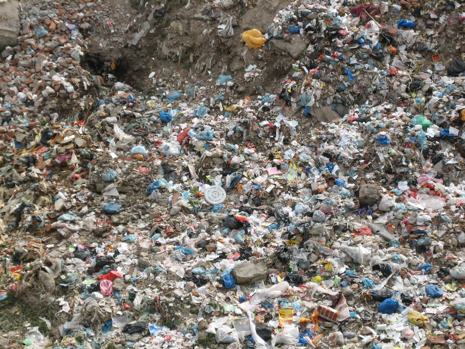 "Tara asta este un gunoi". De ce a ajuns un roman sa-i declare asta unui reporter strain