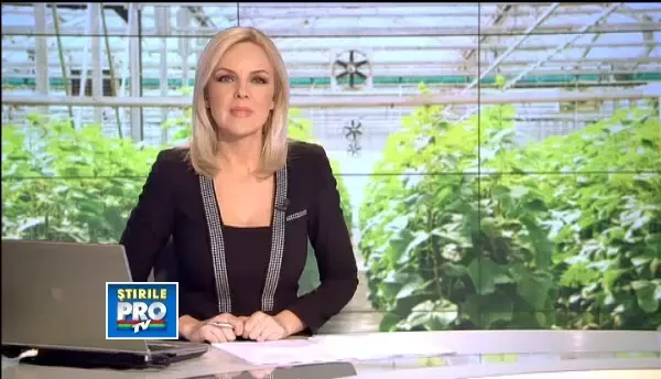 Cum au ajuns castravetii unguresti sa fie produsi in Romania. Afacerea a explodat in vestul tarii