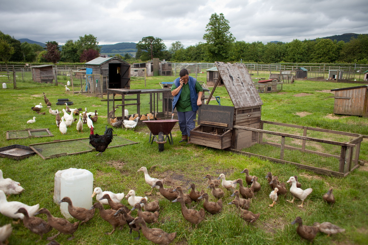 Anuntul important facut de ministrul Agriculturii. Cui va da cate 50.000 euro
