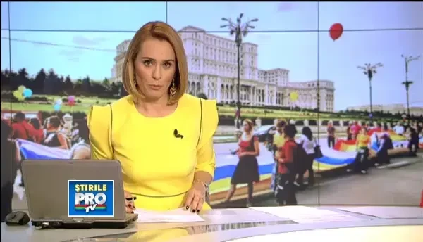 Asociatia Accept cere CNCD si PNL sanctionarea declaratiilor publice homofobe ale lui Puiu Hasotti