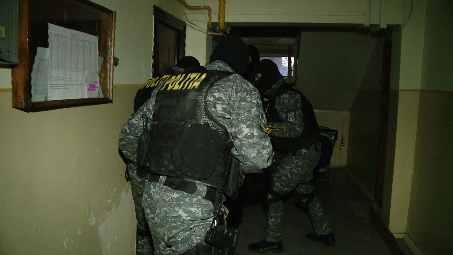 O grupare care vindea canabis in cluburile din Timisoara a fost destructurata. VIDEO EXCLUSIV