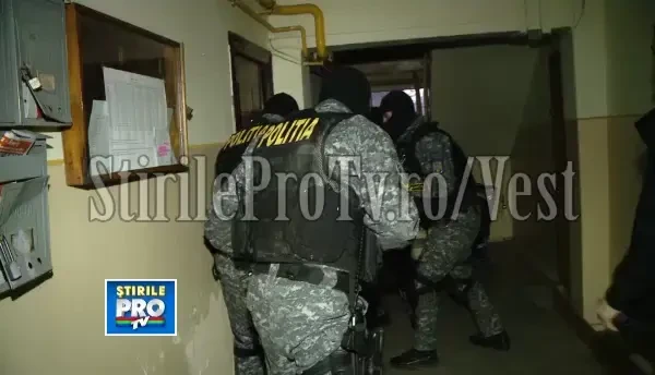 O grupare care vindea canabis in cluburile din Timisoara, a fost destructurata. VIDEO