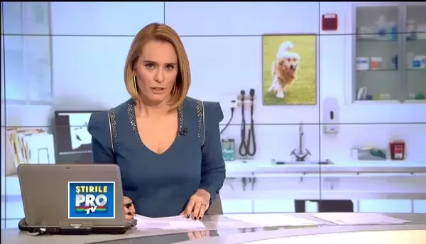 Primaria vrea sa-i oblige pe bucuresteni sa-si castreze cainii. Care este singura cale de scapare