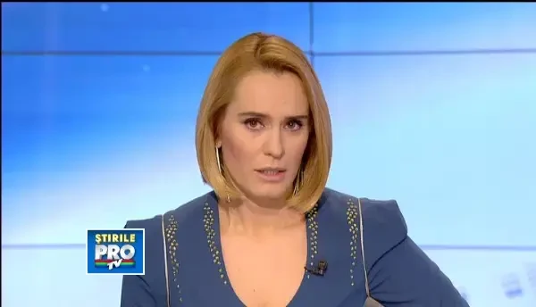 PDL contesta la Curtea Constitutiona legea retrocedarilor pentru care Guvernul isi asuma raspunderea