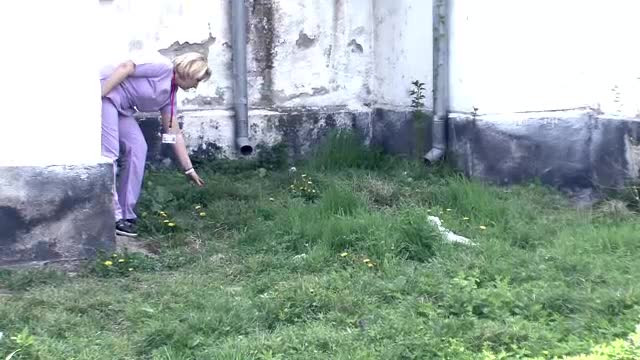 Priveliste de groaza in curtea unui spital din Gorj. Ce s-a intamplat cu un bebelus aruncat acolo