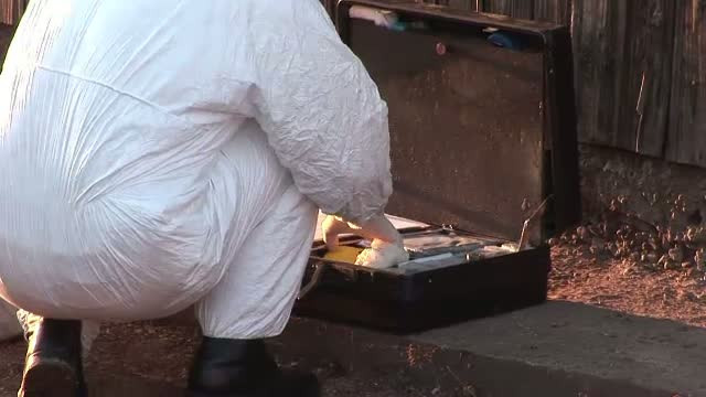 Concluziile medicilor legisti in cazul bebelusului mancat de caini, in curtea unui spital din Gorj